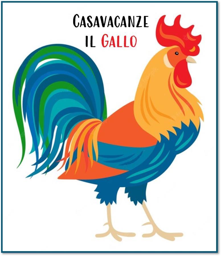 Casavacanze IL GALLO Omegna Exterior foto